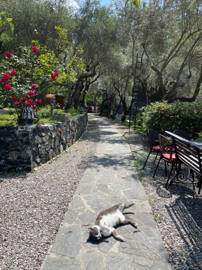 Hotel Villa Belvedere Bonassola Eksteriør bilde