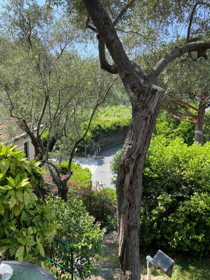 Hotel Villa Belvedere Bonassola Eksteriør bilde