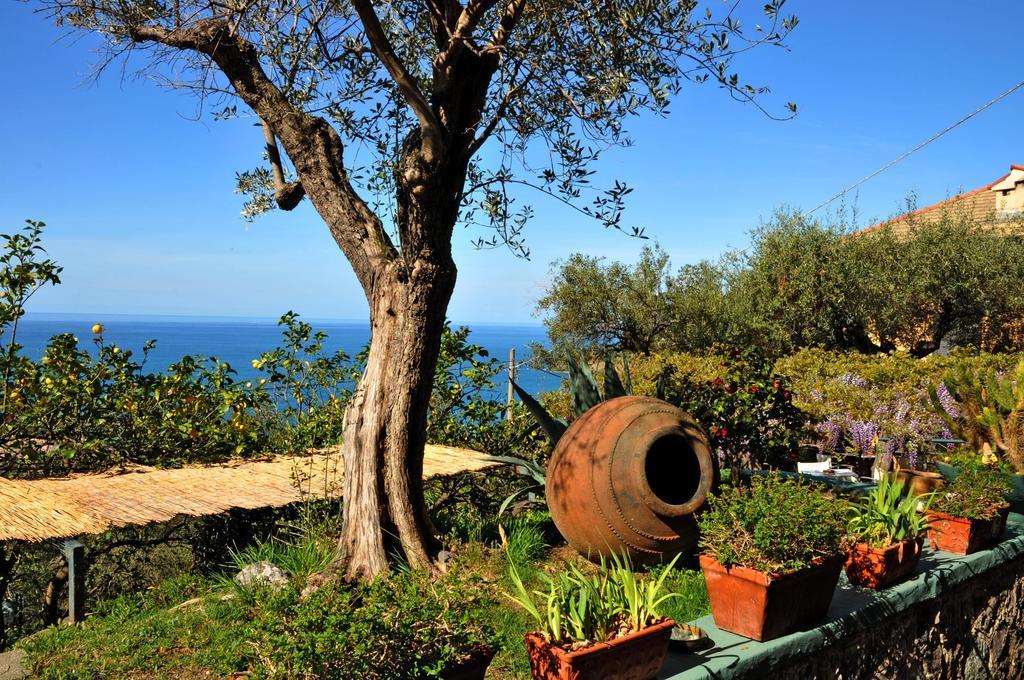 Hotel Villa Belvedere Bonassola Eksteriør bilde